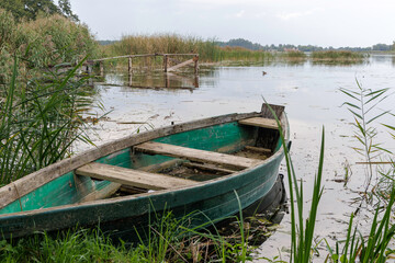 Obraz premium Old Green Rowboat Moored in Reeds