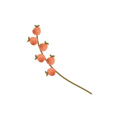 Branch with bright orange berries, a beautiful detail of nature's bounty