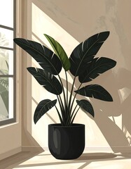 Sunlit indoor plant in a dark pot, positioned near a window, showcasing stylized foliage and shadows