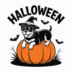 Happy Halloween Day Black and White Cartoon Cat and Ghost Vector Illustration