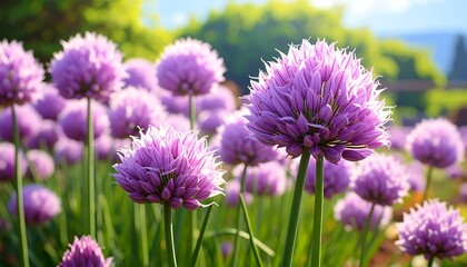 Clusters of vibrant purple flowers in a garden setting