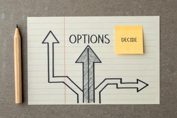 Diagram of branching arrows indicating Options and Decision