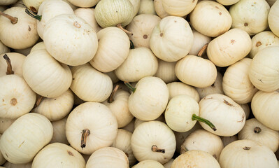 Pile of various types of edible and ornamental pumpkins