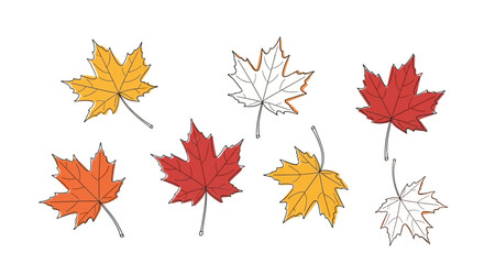 Obraz premium A collection of seven stylized maple leaves in varying stages of color, including yellow, orange, red, and outline versions, arranged on a white background.