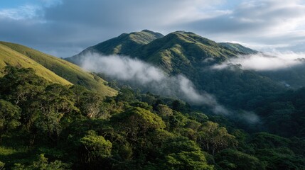 UNESCO Mount Nimba Wildlife and Misty Rainforest
