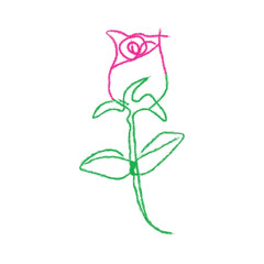 Delicate continuous line drawing of a pink and green rose bud with stem and leaves