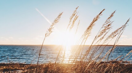 shore. Tranquil lakeside view at sunset with calm water reflecting golden hues. inspiring travel planning, travel magazines, designed for outdoor magazines and nature guides.