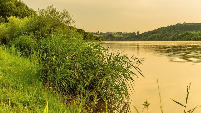 shore. Tranquil lakeside view at sunset with calm water reflecting golden hues. inspiring travel planning, travel magazines, designed for outdoor magazines and nature guides.