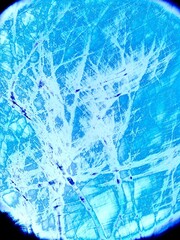 氷のひび割れが青い光に浮かび上がる抽象的なテクスチャ背景