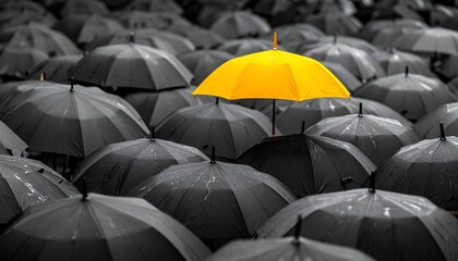 Yellow umbrella among black umbrellas—bright yellow center contrasts with tightly packed monochromatic black umbrellas, creating striking visual emphasis on individuality, uniqueness, and standing out
