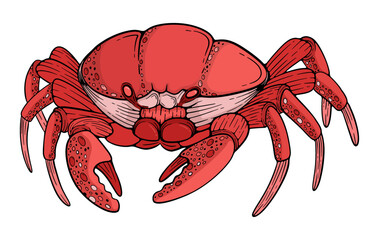 Red Crab sea monster vintage drawing illustration. Can be used for t-shirts, merchandise, screen printing and music festival activities