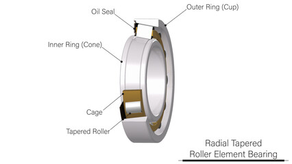 Tapered Roller Element Bearing (Ball Bearing) Illustration showing inner raceway, elements, cage, and outer raceway