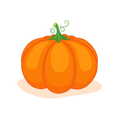Pumpkin is an autumn vegetable isolated on a white background. Vector illustration