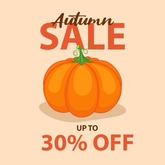 Autumn sale. The background of the autumn sale with a pumpkin for a trade sale or a promotional banner. 