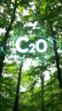 3D Holographic C2O Symbol Floating in Green Forest with Sunlight and Nature Background