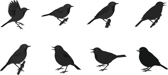 Collection of eight small bird silhouette vector illustrations in flying, perched, and singing poses, perfect for wildlife, decoration, and design artworks.