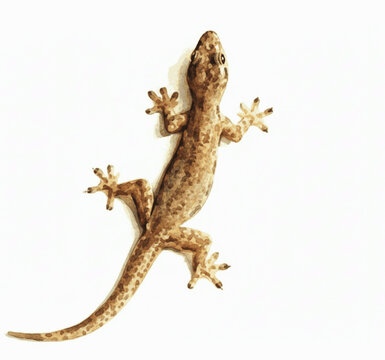 Wash of Amber lizard isolated watercolor vector illustration svg