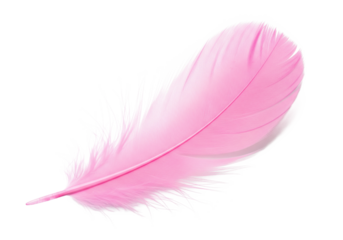 A single delicate soft pink feather with fine wispy barbs floats gracefully against a stark black background creating a minimalist and elegant visual