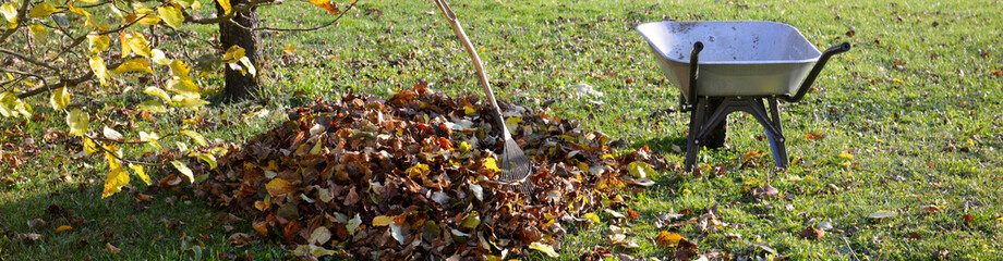 Râteau ou balai à feuilles sur un tas de feuilles mortes à côté d'une brouette vide sur la...