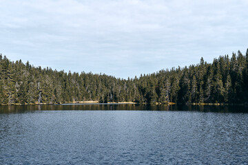 Landscape of the Totenåsen Hills Coniferous Forest Reserve, with the Fugletjernet Lake, September 2025.