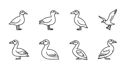 Fototapeta premium Vector art of birds isolated on white