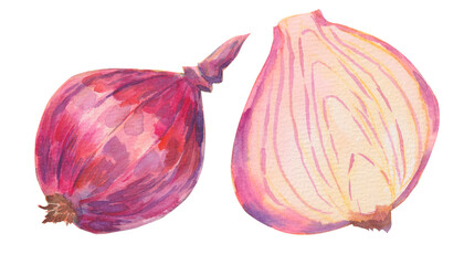 Set of red onions. Watercolor hand drawn sliced, half of a purple onion isolated on white. For designers, menu, decoration, food blog, ecofriendly branding, packaging, products, chips, fabrics