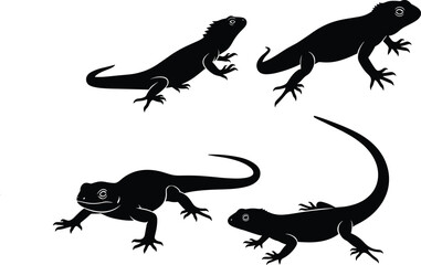 PrintSilhouette lizard illustration, reptile vector design, gecko animal pose, wildlife clipart, exotic creature art, black lizard graphic, nature symbol