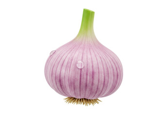 Fototapeta premium Fresh garlic bulb PNG illustration isolated on transparent background Healthy vegetable for cooking and seasoning