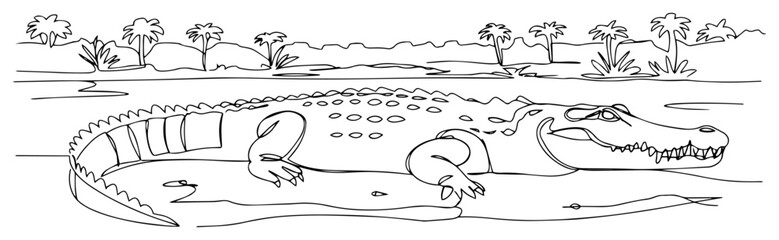 Single Line Drawing of an Alligator in a Swamp Environment