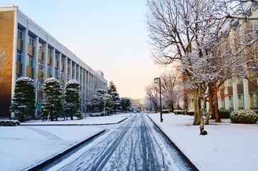 Scenic view of a university campus street covered in fresh white snow during winter. Modern academic buildings, frosted trees, and a peaceful wintry atmosphere in a college outdoor setting.