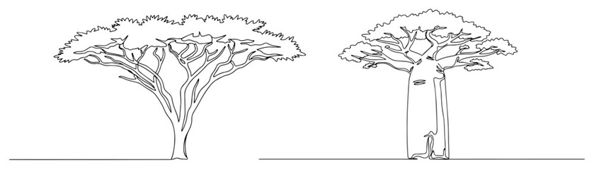 African Acacia and Baobab Trees Drawn in a Continuous Line © Katarzyna