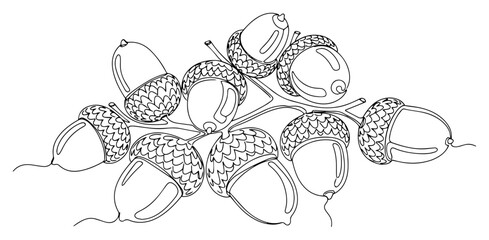 A Branch with Acorns Drawn in One Single Continuous Line
