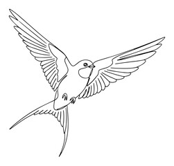 Fototapeta premium Flying Swallow Bird with Spread Wings in a Single Line Art
