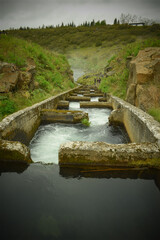 Fish crossing, water architecture
