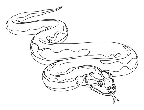 black and white snake drawing clip art preview