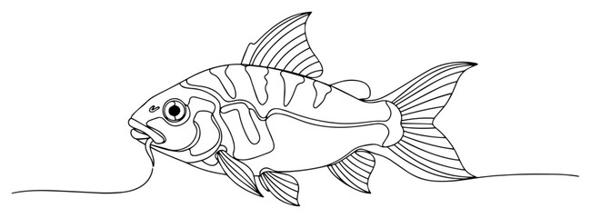 A Freshwater Fish Drawn in a Continuous Single Line Style