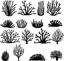 Silhouette Coral Reef Plant Collection ocean underwater