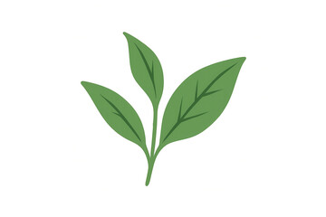 Obraz premium Green plant stem featuring three fresh leaves, symbolizing nature, growth, and ecology, on a transparent background