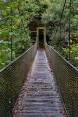Bridge on the Galician trail surrounded by lush vegetation
