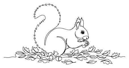 Squirrel With Acorn in Autumn Leaves Coloring Page