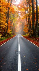 Obraz premium Misty autumn road through vibrant foliage