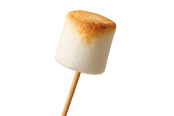 Toasted marshmallow on a stick ready to eat
