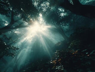 Fototapeta premium Jungle forest canopy, golden sunlight beams cutting through dense foliage, ideal for nature visuals. Perfect for adventure and wildlife projects, highlighting the magical forest vibe.