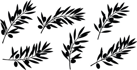 Olive branch silhouette illustration, black leaves and fruits, Mediterranean design element, vector clipart for decoration, pattern, nature symbol art