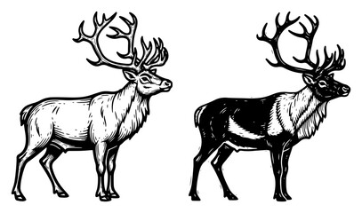 Reindeer Caribou Vintage Engraving Set