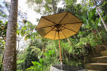 Large umbrella is sitting on a table in a lush green forest