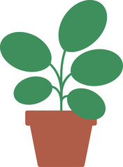 Vibrant green houseplant in a simple terracotta pot, bringing natural beauty indoors.