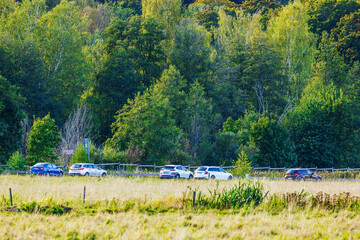 Parking with cars near meadow and forest with autumn trees and colorful foliage. Sweden.