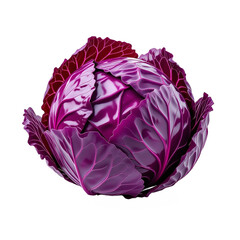 Obraz premium Vivid Purple Red Cabbage with Detailed Leaves in a Transparent Clipping Path