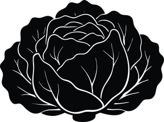 vibrant green cabbage freshness personified, a culinary masterpiece silhouette vector illustration